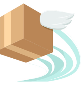 Brown Box with wings